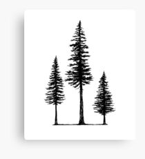 Fir's Canvas Print