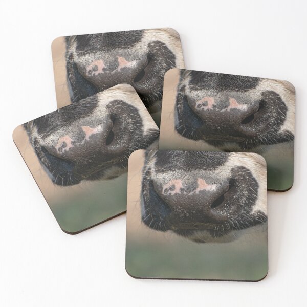 Item preview, Cow Snout designed and sold by Ziv Paczy.