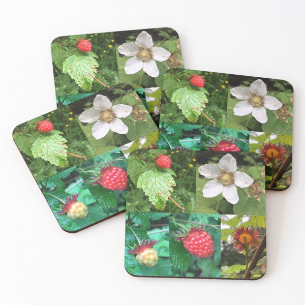 Item preview, Salmon Berry  designed and sold by MelodiRose.