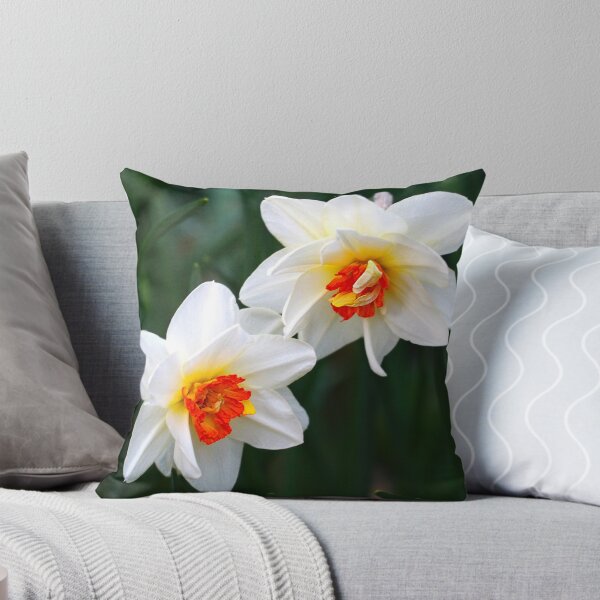 Item preview, Narcissus designed and sold by Organicvision.