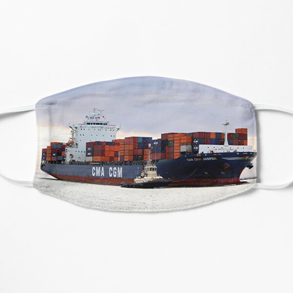 Container cargo ship and tug Mask