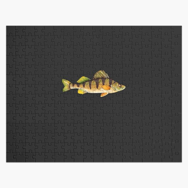 Funny Striped Bass Fishing Freshwater Fish Gift #4 Digital Art by