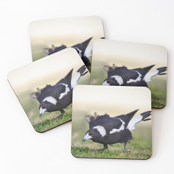Item preview, Australian Magpie, An Aussie Icon designed and sold by Anita Smedberg.