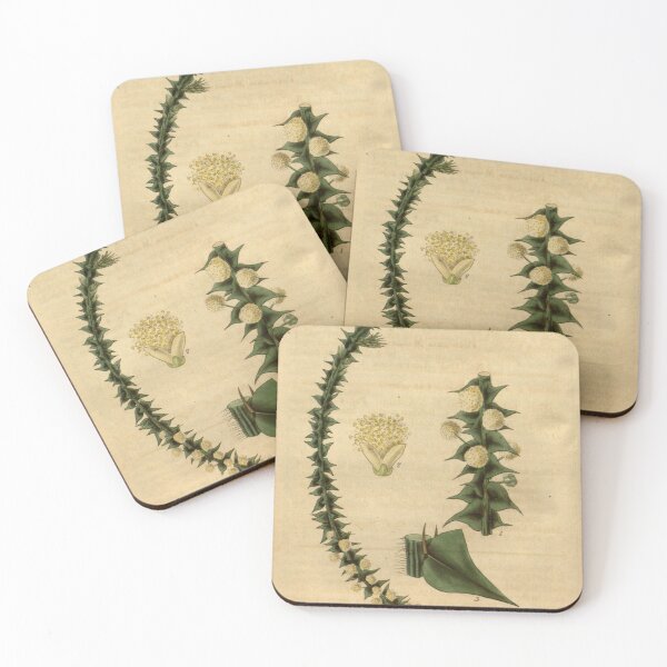 Item preview, Curtis's botanical magazine (Plate 3341) (8203269260) designed and sold by EsotericBotanic.