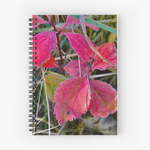 Item preview, frost on red leaves designed and sold by countrypines.