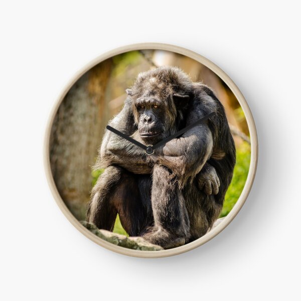 Item preview, Bored Chimp designed and sold by Cryptodesignz.