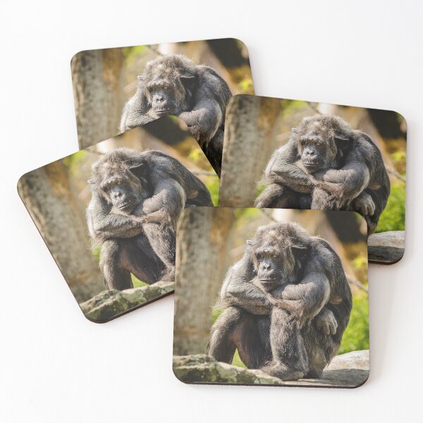Item preview, Bored Chimp designed and sold by Cryptodesignz.
