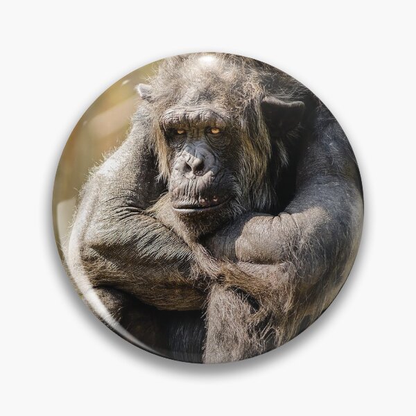 Item preview, Bored Chimp designed and sold by Cryptodesignz.