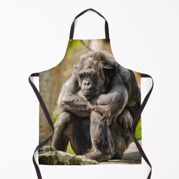 Item preview, Bored Chimp designed and sold by Cryptodesignz.
