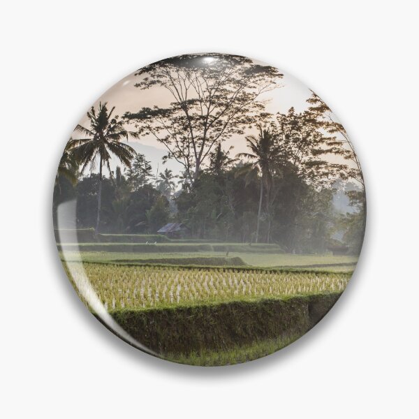 Aperçu de l'œuvre Champs de riz de Bali créée et vendue par Chris Putnam.