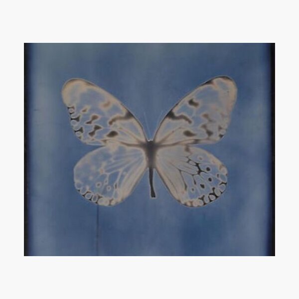 y2k butterflies aesthetic Photographic Print