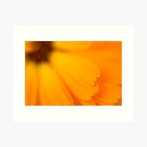 Vista previa del artículo con la obra «Orange», diseñado y vendido por ILODESIGNS.