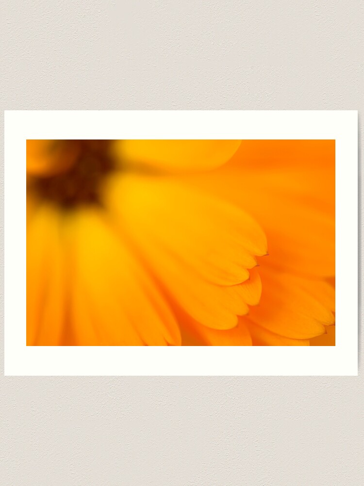 Imagen 1 de 3, Lámina artística con la obra Orange, diseñada y vendida por ILODESIGNS.