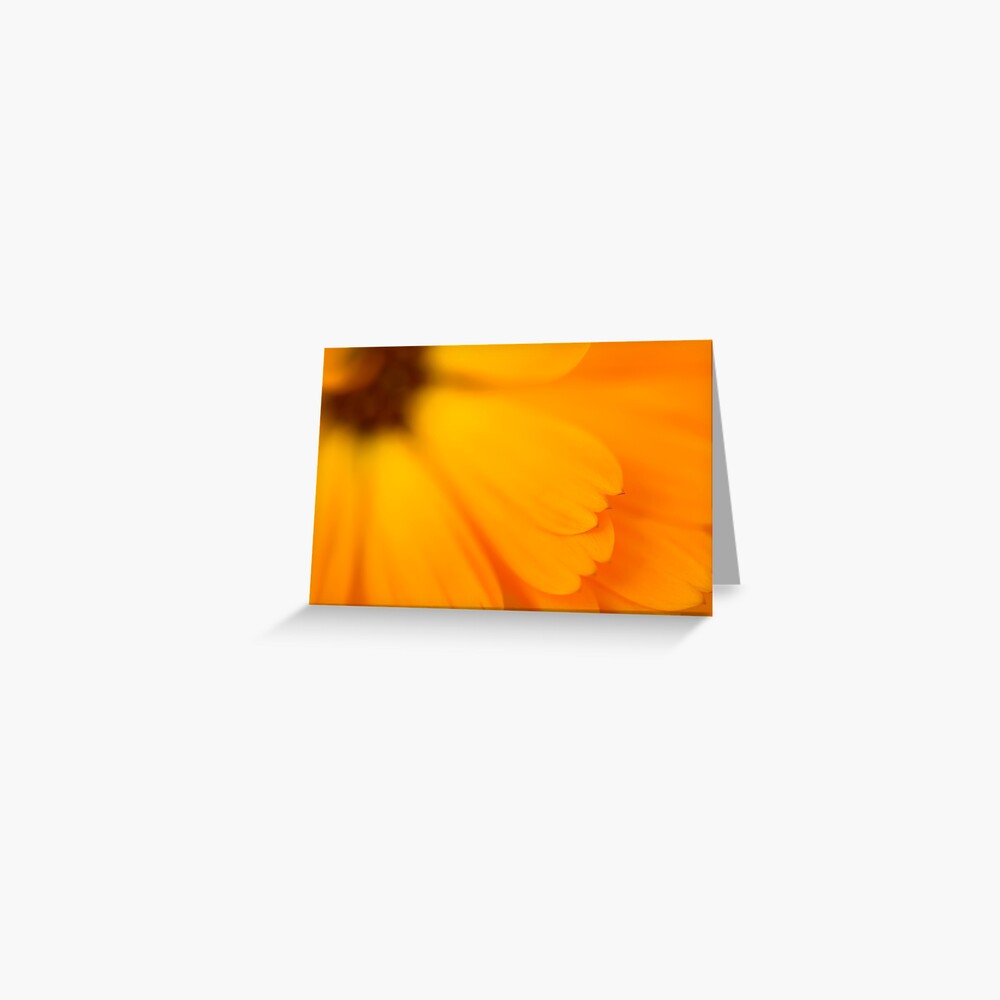 Vista previa del artículo con la obra «Tarjetas de felicitación», diseñado y vendido por ILODESIGNS.