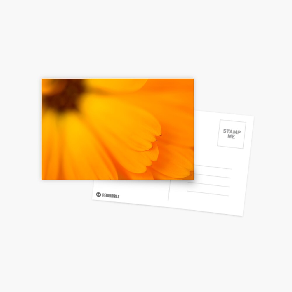 Vista previa del artículo con la obra «Postal», diseñado y vendido por ILODESIGNS.