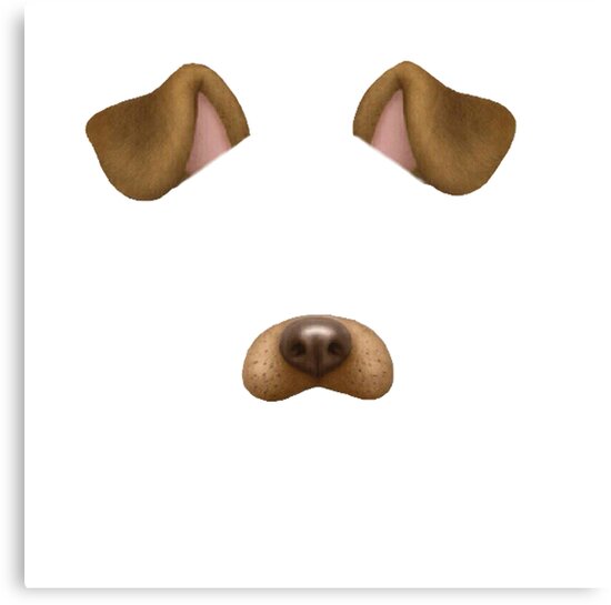 Ffunny Dog Filter Pictures Ffunny Dog Filter Pictures