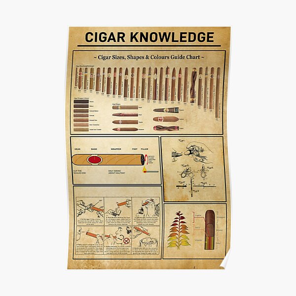 Cigar Knowledge, Cigar Lover Poster