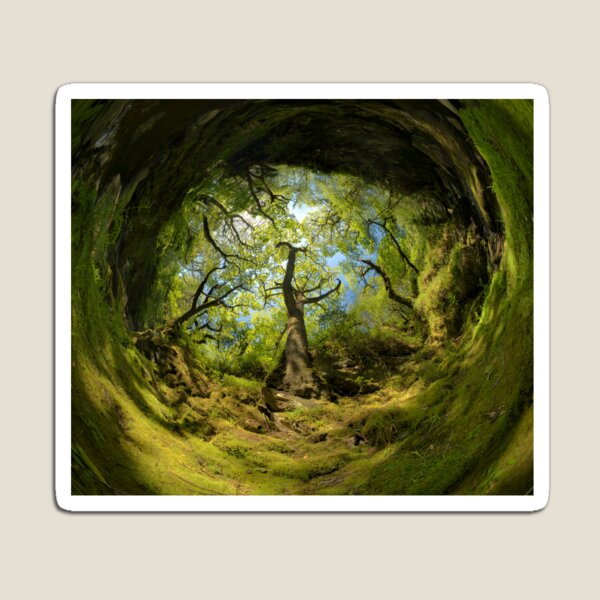 Ness Glen, Mystical Irish Wood Magnet