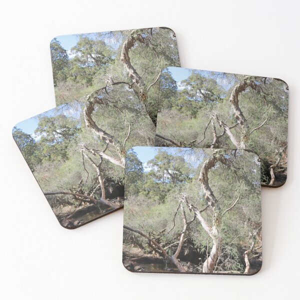 Item preview, Twisting Paperbark designed and sold by Michaela Perryman.