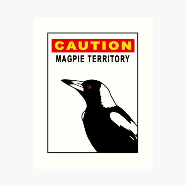Item preview, Magpie CloseUp CAUTION - White designed and sold by Birds & Things.