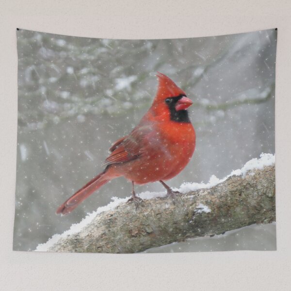 Item preview, Cardinal and the Weather Outside designed and sold by SummerJade.