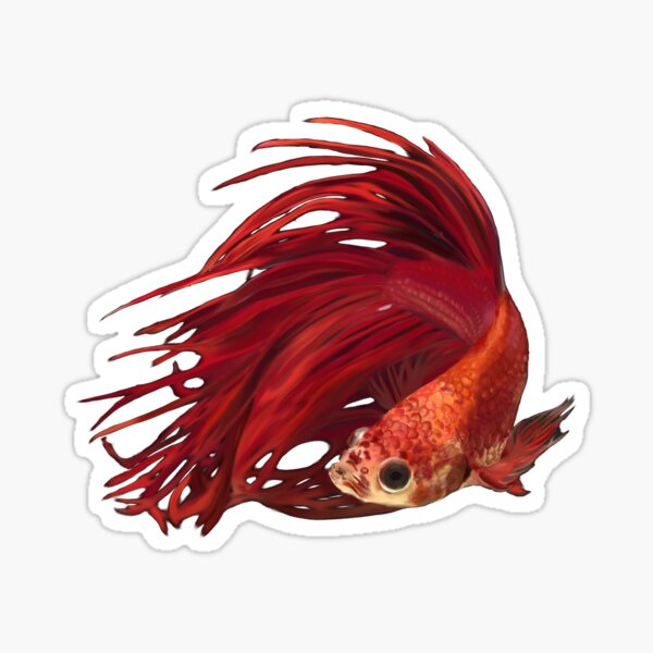 FanTail Sticker