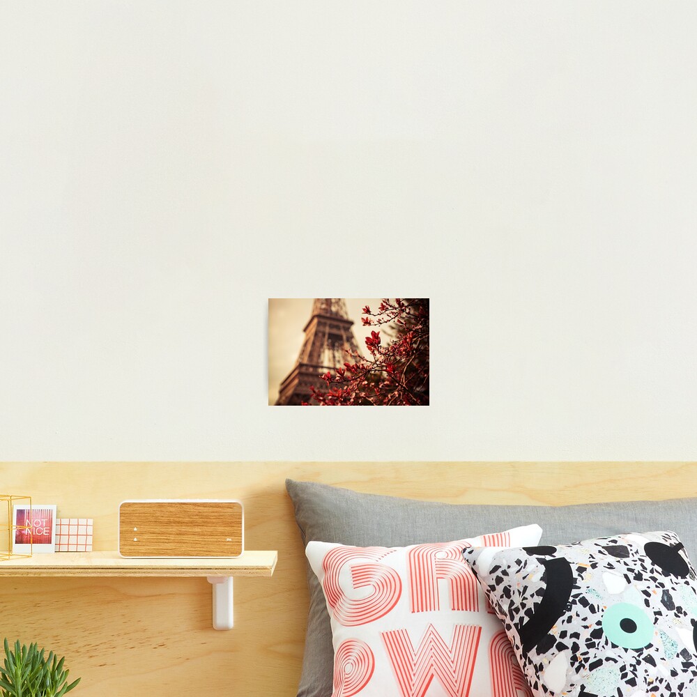 Eiffel Photographic Print
