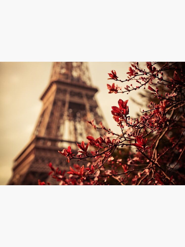 Eiffel by ramosnuno