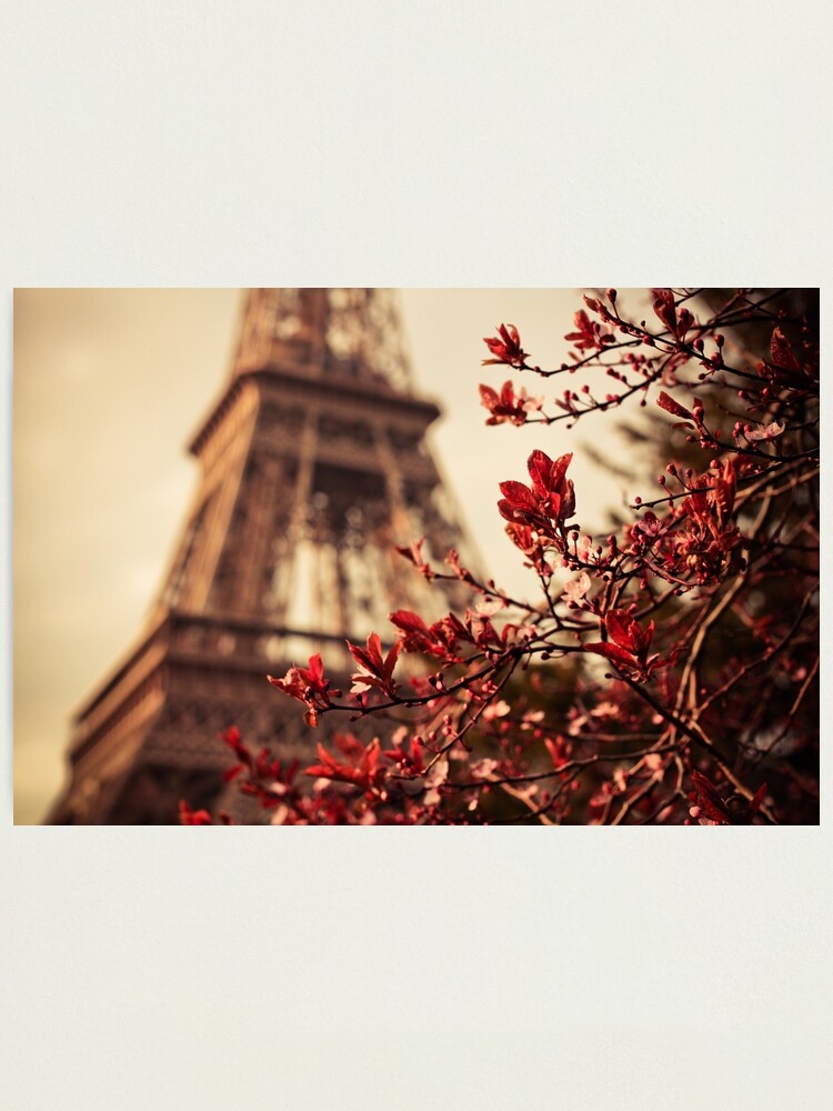 Alternate view of Eiffel Photographic Print