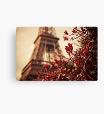 Eiffel Canvas Print
