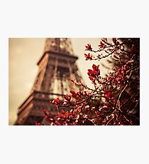 Eiffel Photographic Print