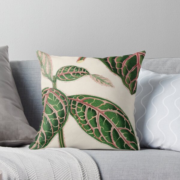 Item preview, Eranthemum Sanguinolentum by Benjamin Fawcett designed and sold by redoARTstore.