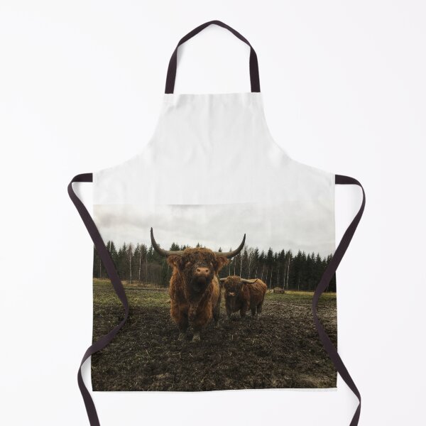 Item preview, Scottish Highland Cattle Bulls 2174 designed and sold by SaarelaHighland.
