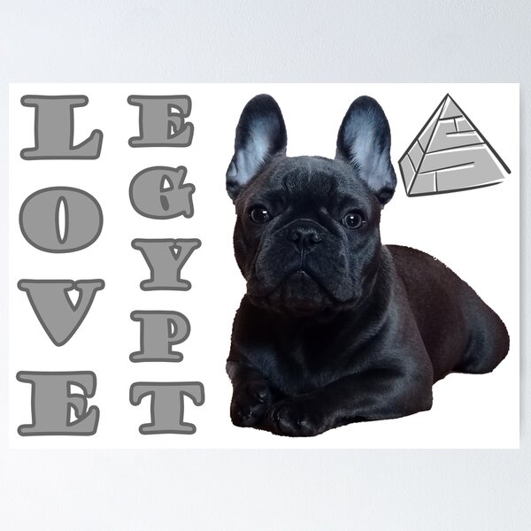 Item preview, Buckó Frenchie / Egypt / Love ancient Egypt - Pyramid designed and sold by BuckoFrenchie.