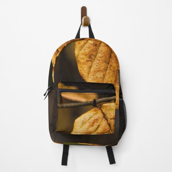 Item preview, A golden brown solitary beech leaf in winter designed and sold by Cameranick.