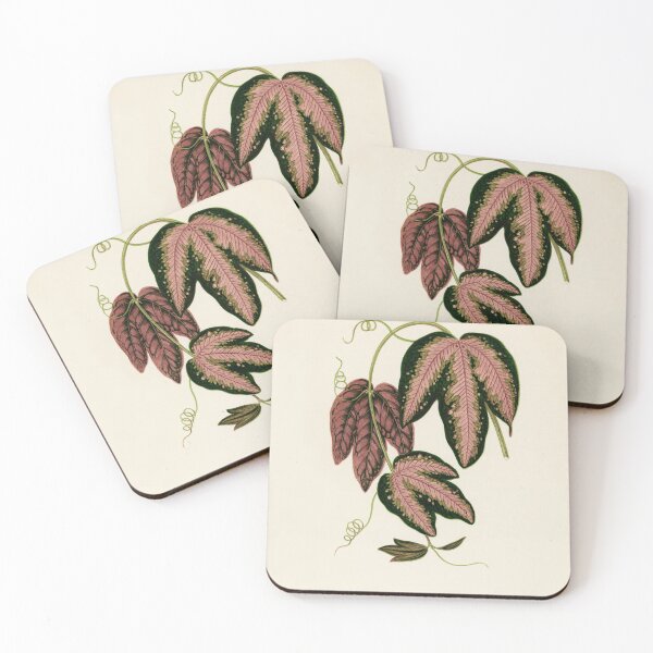 Item preview, Passion Vine by Benjamin Fawcett designed and sold by redoARTstore.