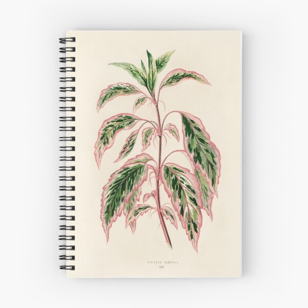 Item preview, Rose Mallow by Benjamin Fawcett designed and sold by redoARTstore.