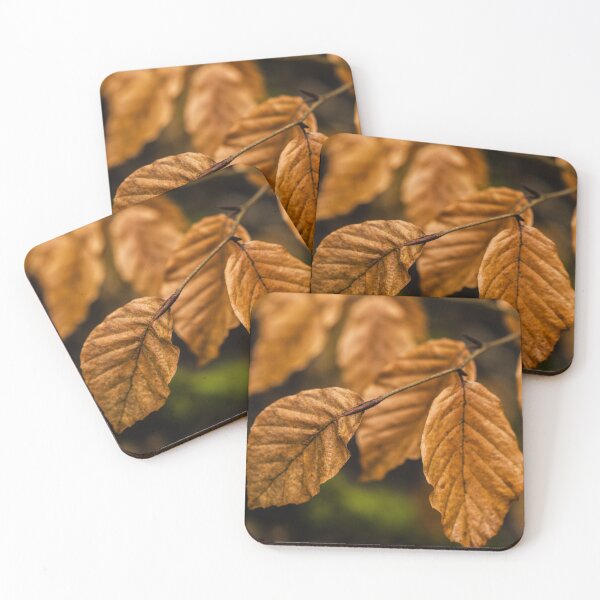 Item preview, A cluster of golden brown beech leaves designed and sold by Cameranick.