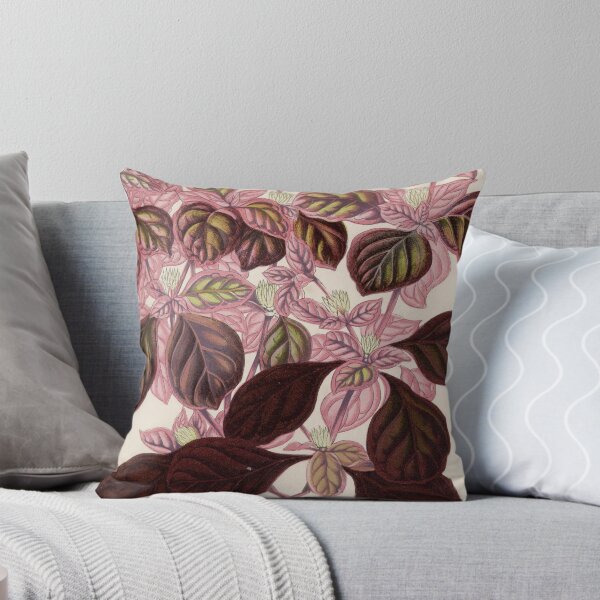 Item preview, Teleinthera Ficoidea by Benjamin Fawcett designed and sold by redoARTstore.