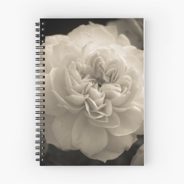 Item preview, Halagüeño designed and sold by Isquaredimages.