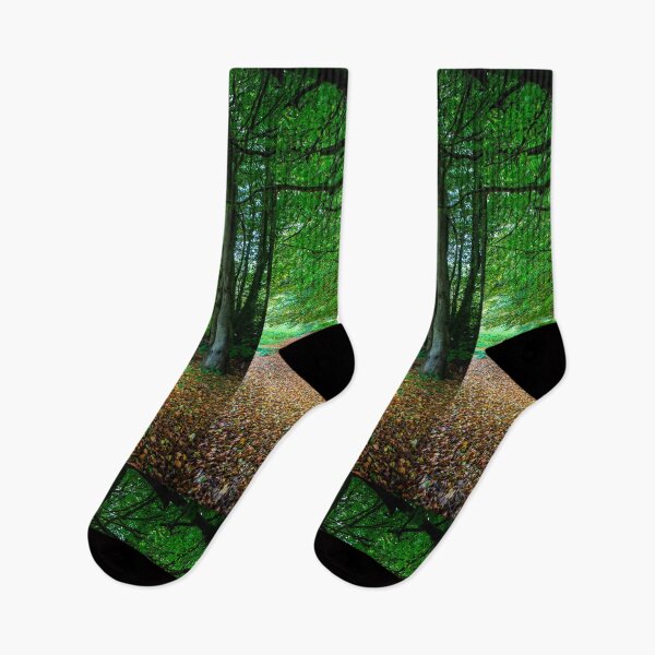 Item preview, Woodland Glade designed and sold by Dave Hare Photography.