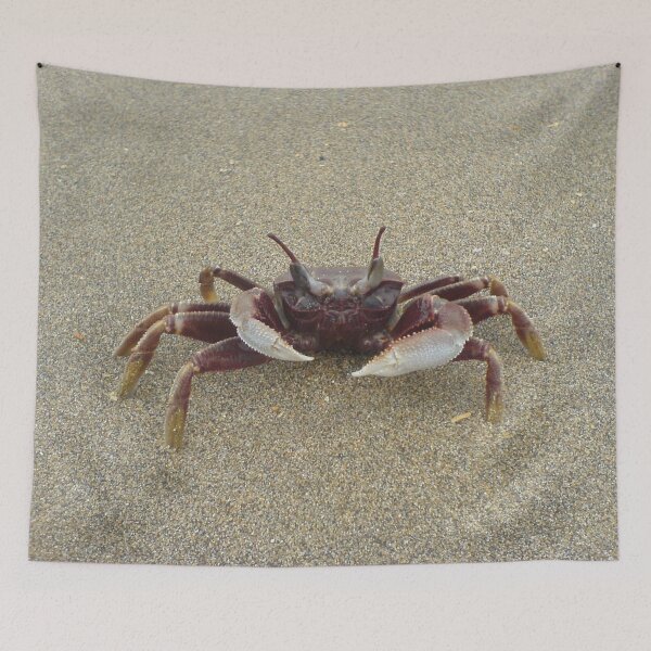 Item preview, crab on the sand close-up photo designed and sold by nataliavavilina.