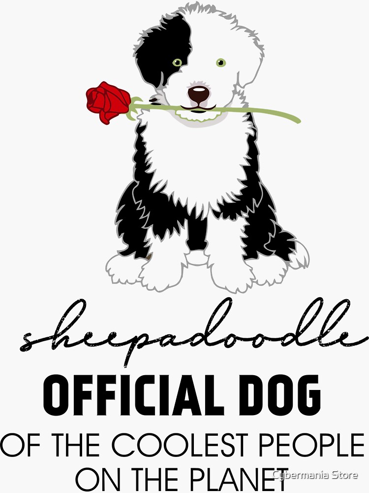 SHEEPADOODLE OFFICIAL DOG OF THE COOLEST PEOPLE ON THE PLANET by bhagwantmba