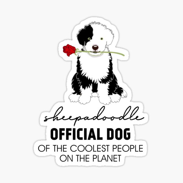 SHEEPADOODLE OFFICIAL DOG OF THE COOLEST PEOPLE  ON THE PLANET Sticker