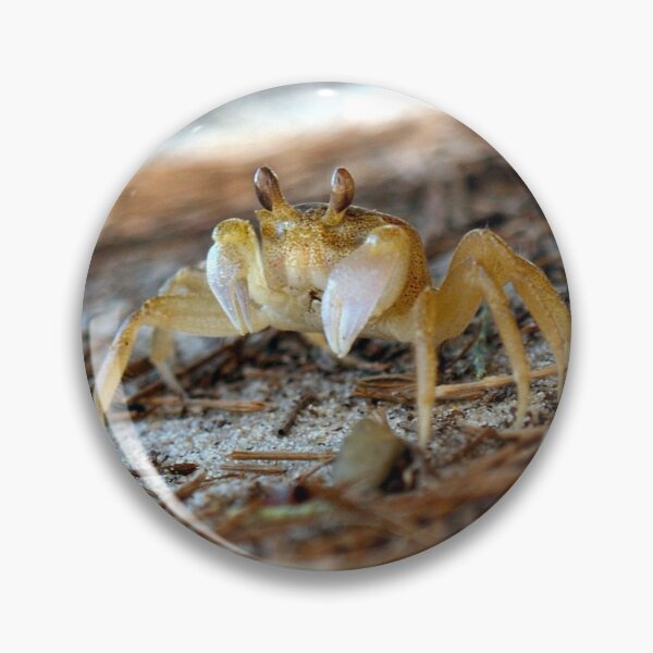 Item preview, tiny crab - nature - fauna (ED01) designed and sold by Elisabeth Dubois.