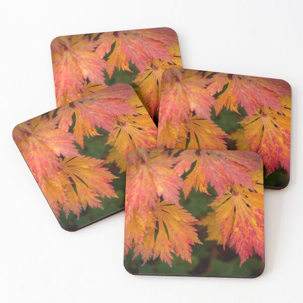 Item preview, A Study of Japanese red Acer leaves in the autumn designed and sold by JOY WALKER.