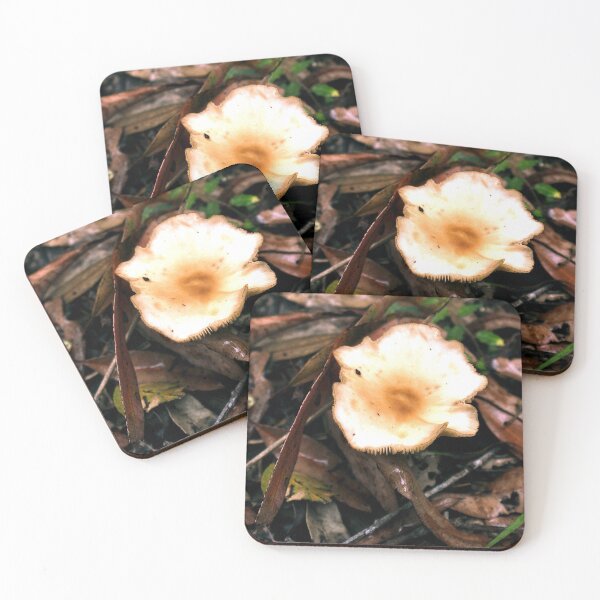 Item preview, As pretty as a Daisy - nature - flora  (ED01) designed and sold by Elisabeth Dubois.