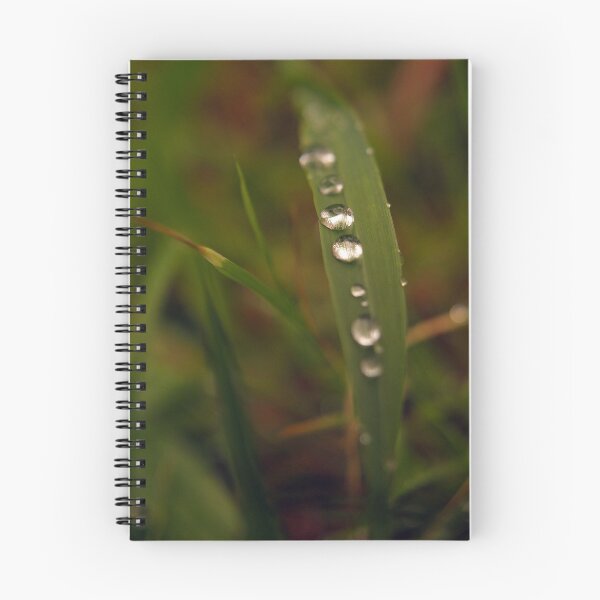 Item preview, Natures Diamonds  - nature - flora (ED01) designed and sold by Elisabeth Dubois.