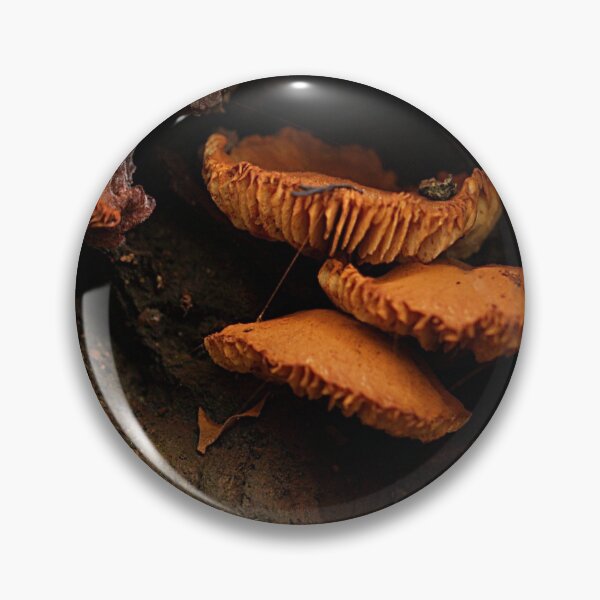 Item preview, Mushroom in the wild - nature - flora (ED01) designed and sold by Elisabeth Dubois.