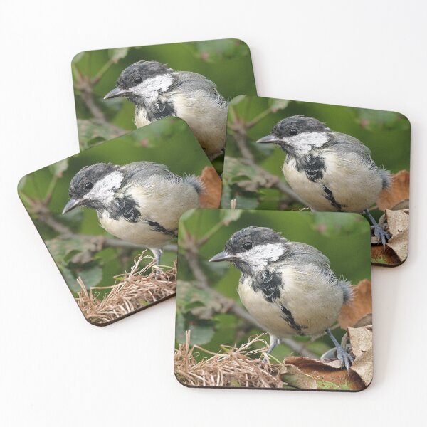Item preview, r1473/ Super New Finition 2021- Birds  b 24 (c)(t)  by Olao-Olavia / Okaio Créations   designed and sold by o.okaïo.